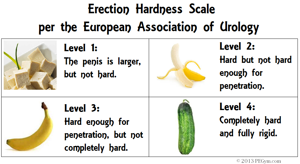erection hardness scale