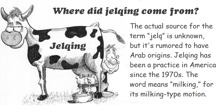 jelqing cow